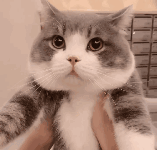 Profile Image of the Author